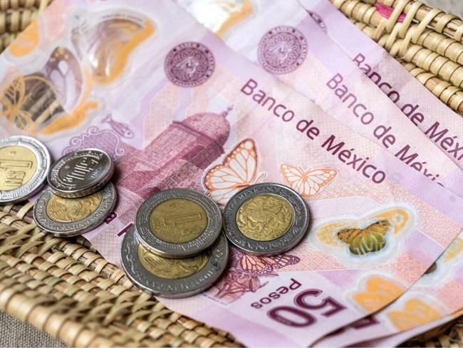 Monedas y billetes de peso mexicano organizados en una cesta, representando la economía mexicana de manera visual.