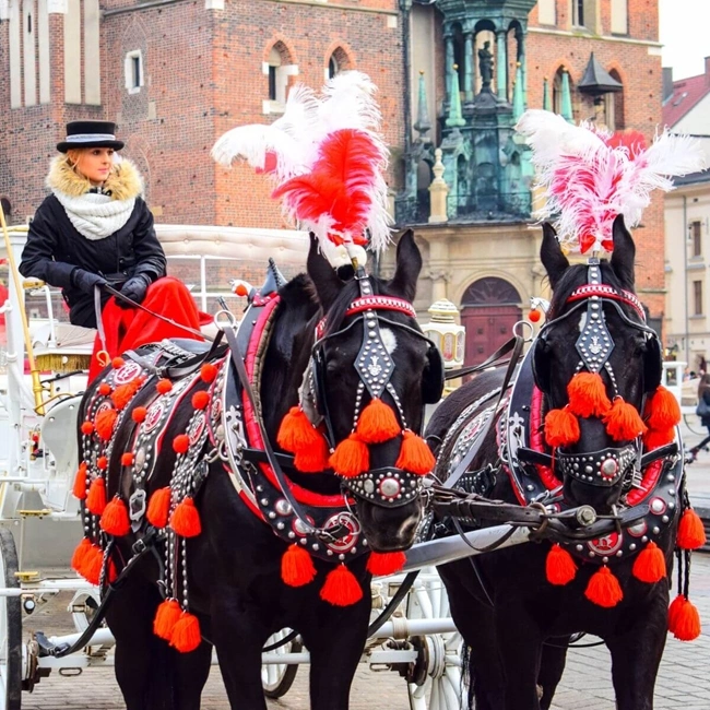 A woman riding a horse-drawn carriage in front of a historic building, showcasing a blend of elegance and tradition.